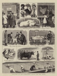 Croquis aux expositions de bovins et de chiens de Birmingham